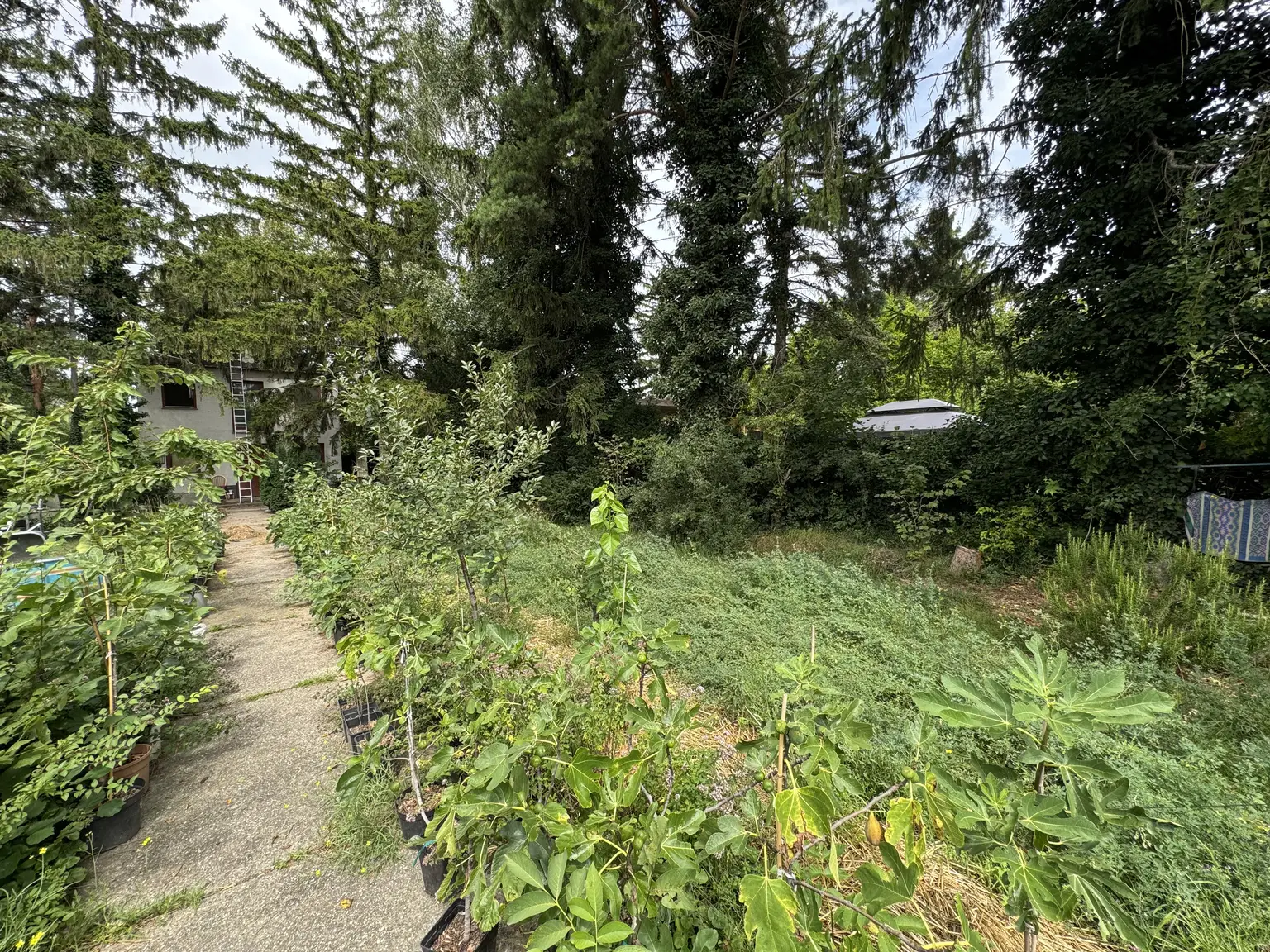 Exklusives Grundstück in Traumlage am Mühlwasser