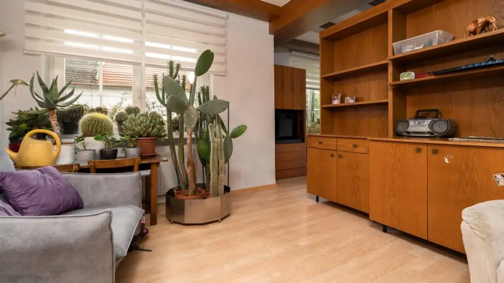 Traumhaus mit großem Garten