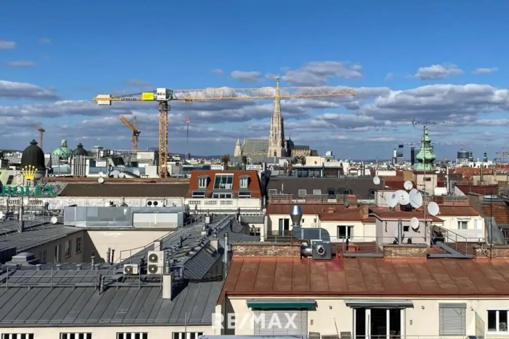 4 Zimmer -100m2 Dachterrasse