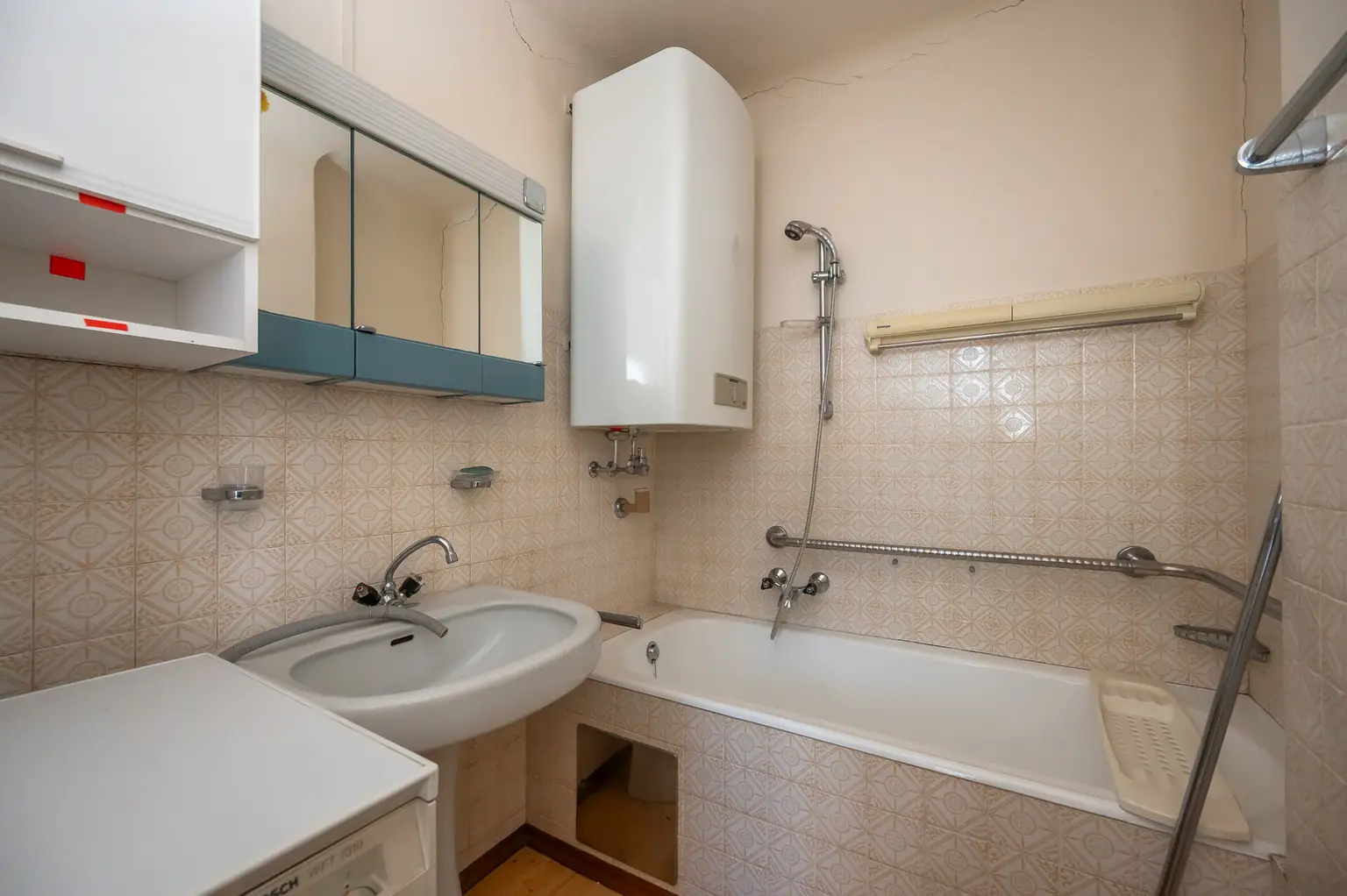 Altbestand im Grünland