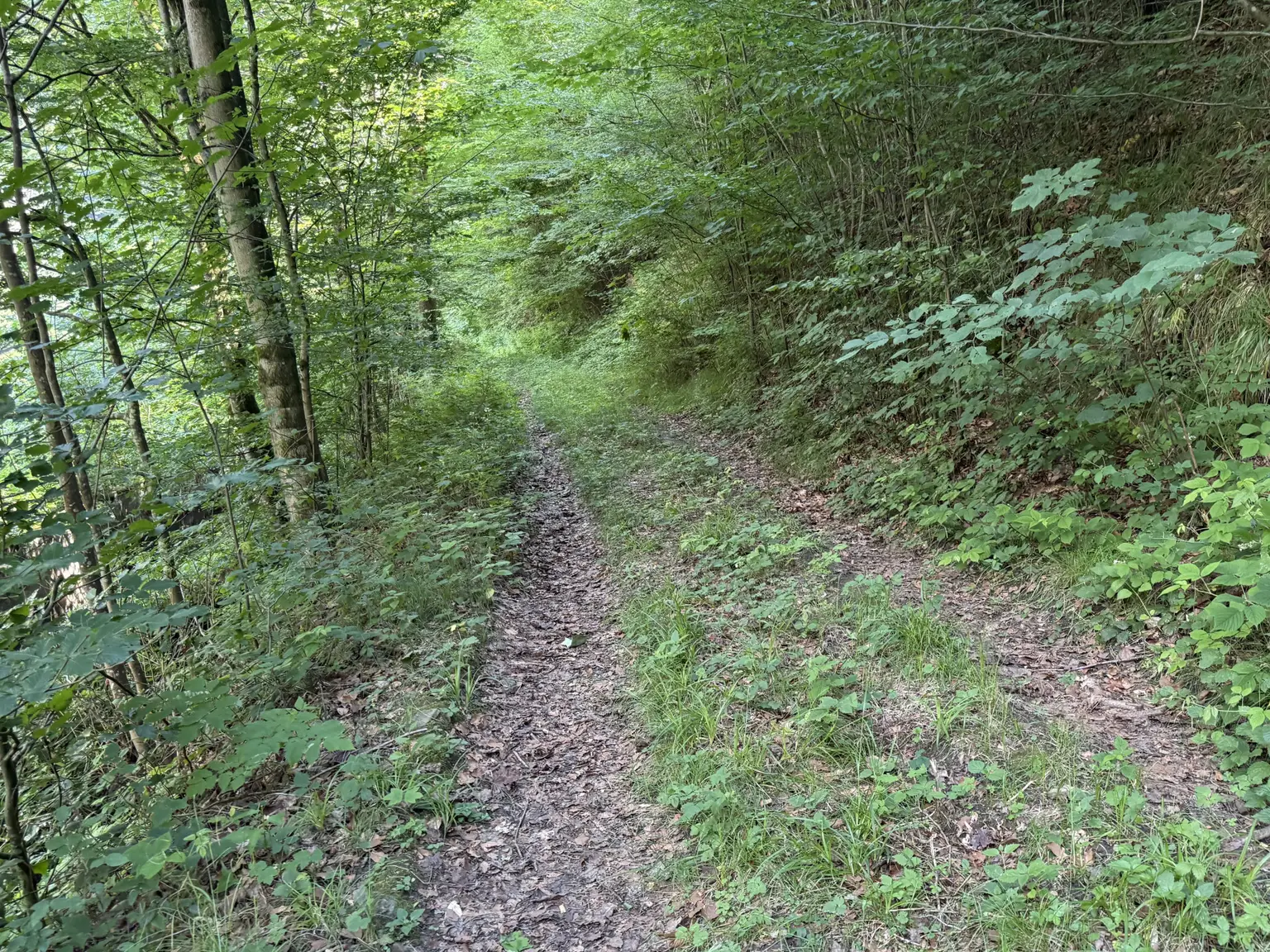 Zufahrtsweg
