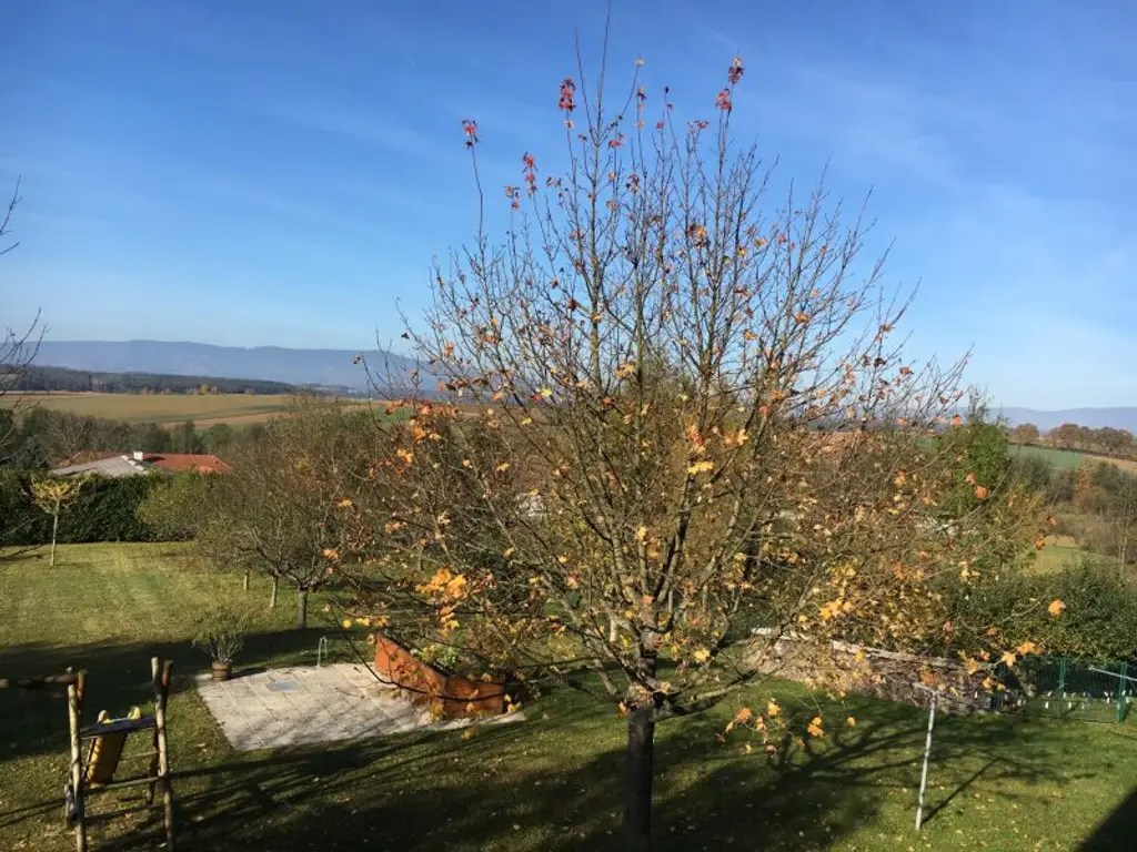 Schöne , möblierte , kleine Mietwohnung