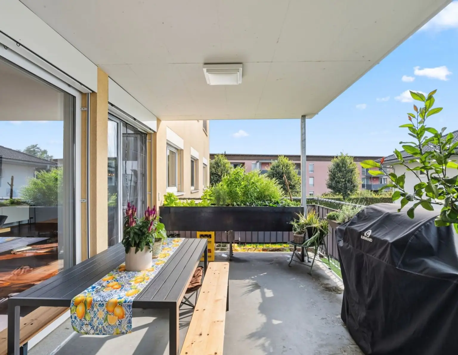 Traumhafte 4-Zimmer Wohnung in Hard mit Terrasse und Carport
