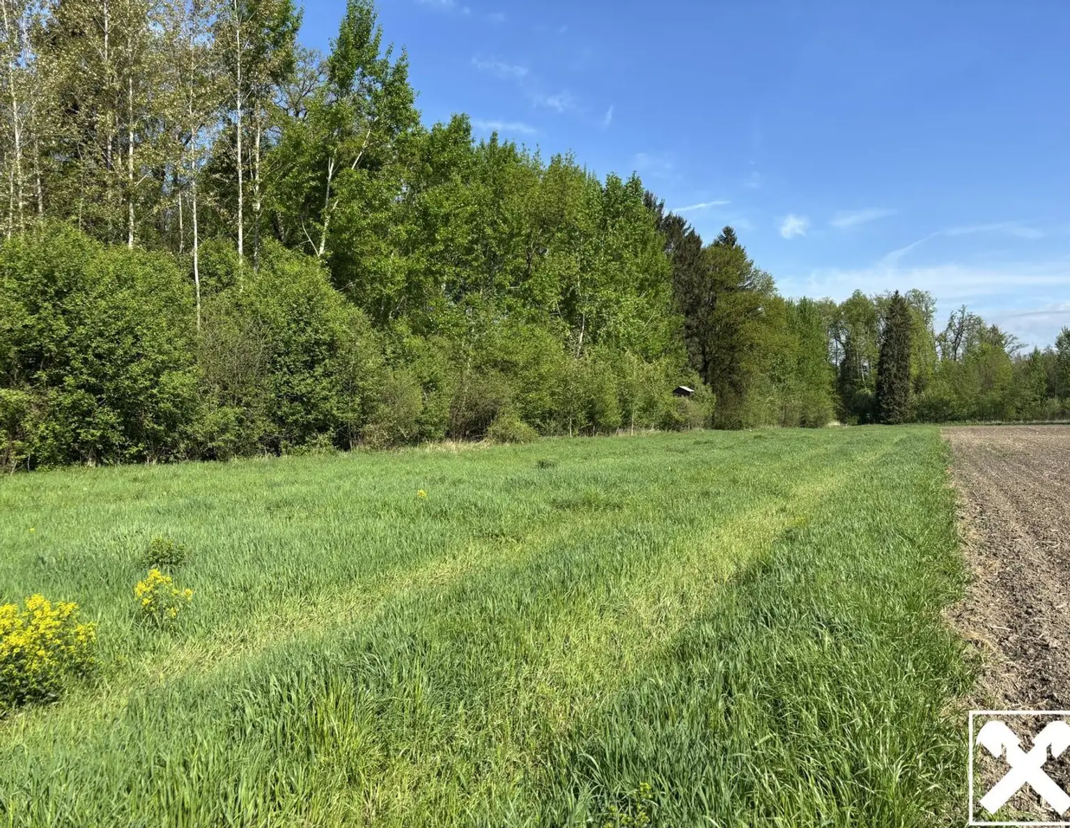 Landwirtschaftliche Fläche mit Waldanteil und guter Erreichbarkeit