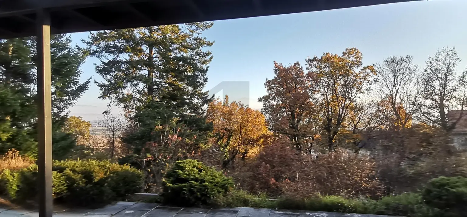 VOM LUXUS REPRÄSENTATIVEN LEBENS - GEFÜHLTE ALLEINLAGE