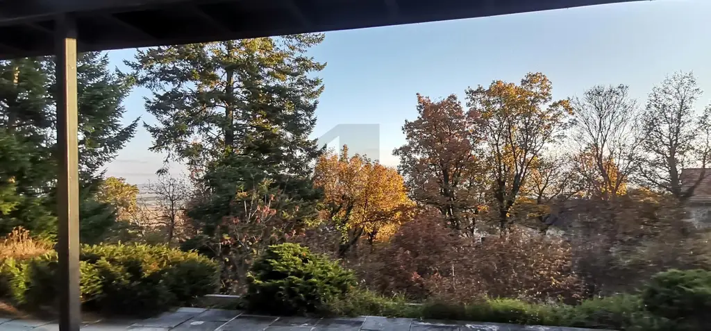 VOM LUXUS REPRÄSENTATIVEN LEBENS - GEFÜHLTE ALLEINLAGE