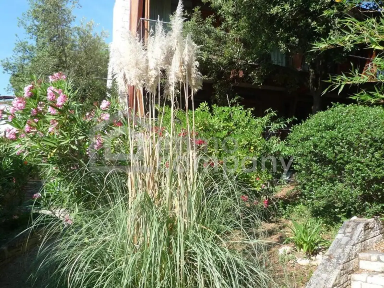 Zugang vom Südgarten