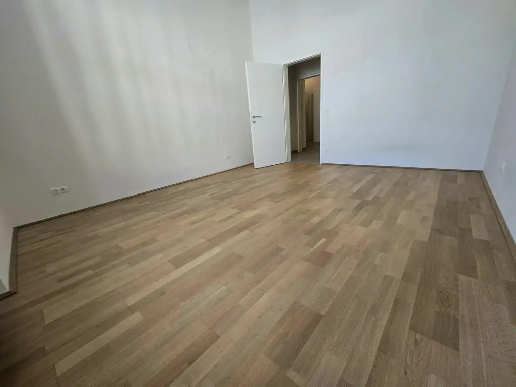 Modern sanierte Altbauwohnung – Innere Stadt!