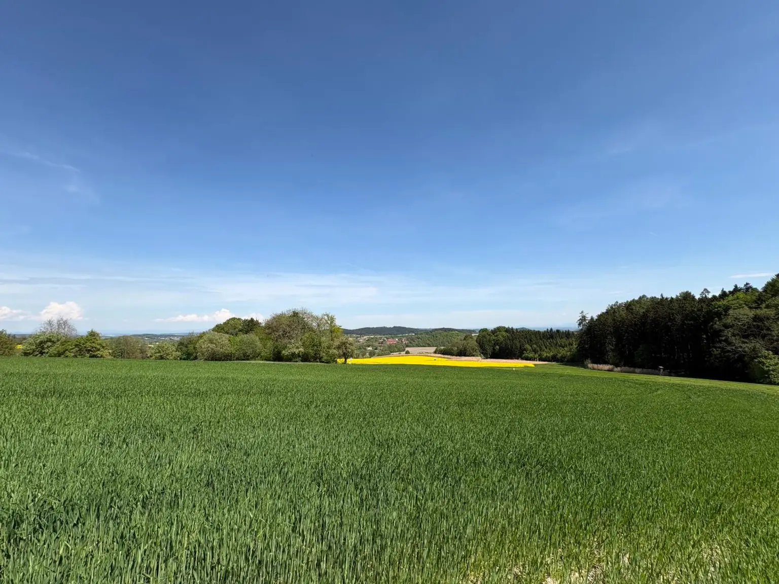 Grundstück