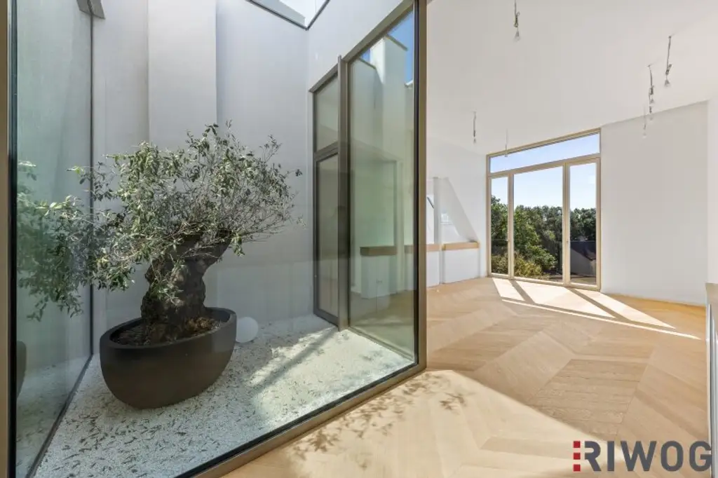 3,7m Raumhöhe im DG, Garage mit 2 Stellplätze, Atrium, Aufzug in die Wohnung und 360° Dachterrasse