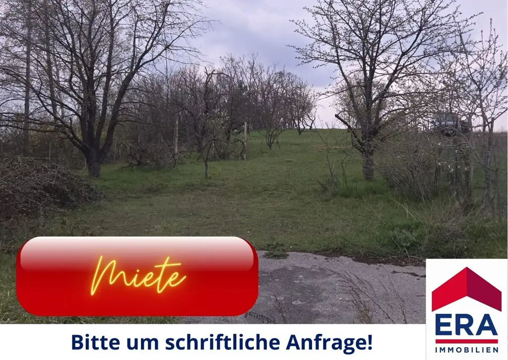 Grundstück zur Miete in Mistelbach - Gartenparadies mit Altbaumbestand