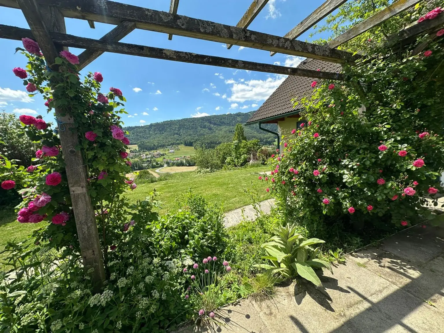 Aussicht Terrasse EFH Deutschlandsberg immoresch
