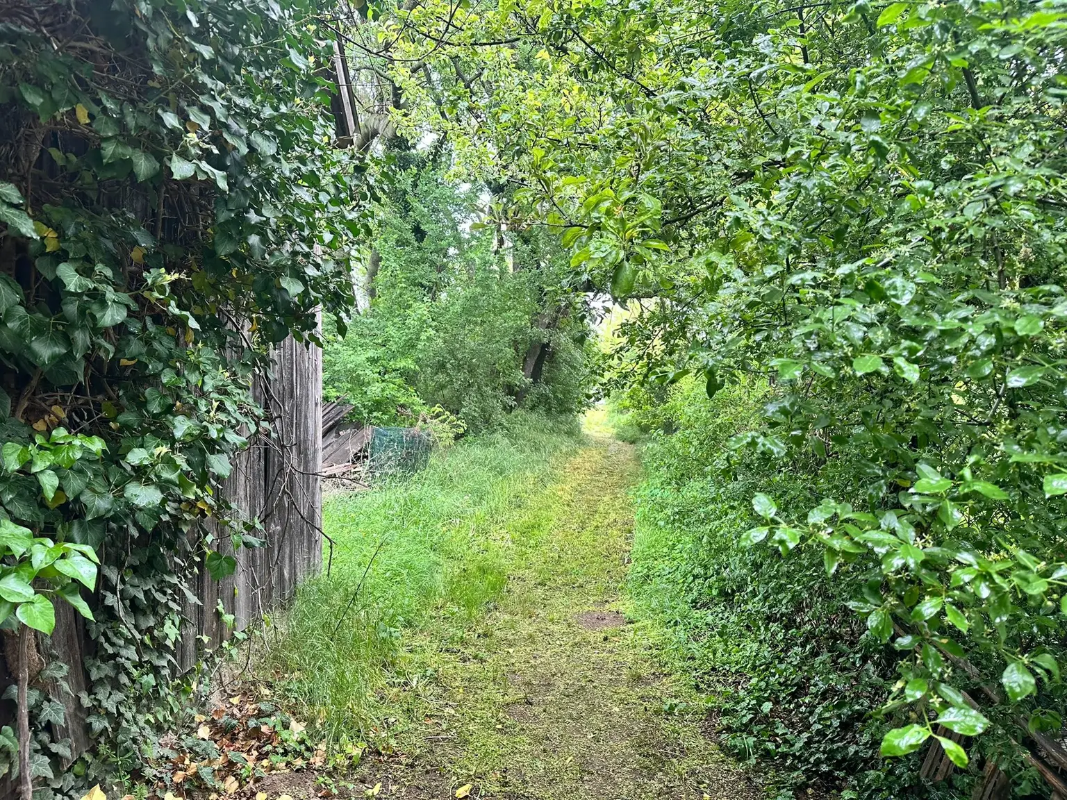 Grundstück mit Altbestand