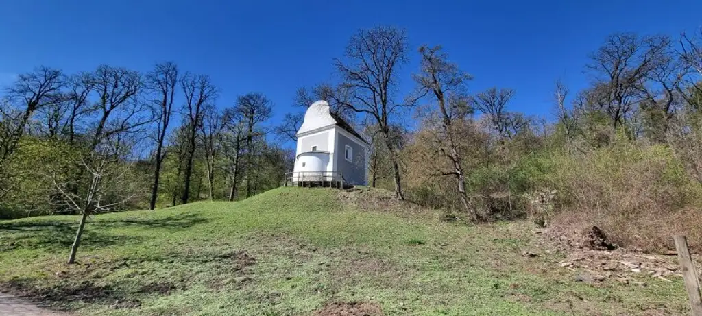 Villa beim Lainzer Tiergarten nach Kundenwunsch geplant - Edelrohbau mit Baugenehmigung - Lift im Haus möglich