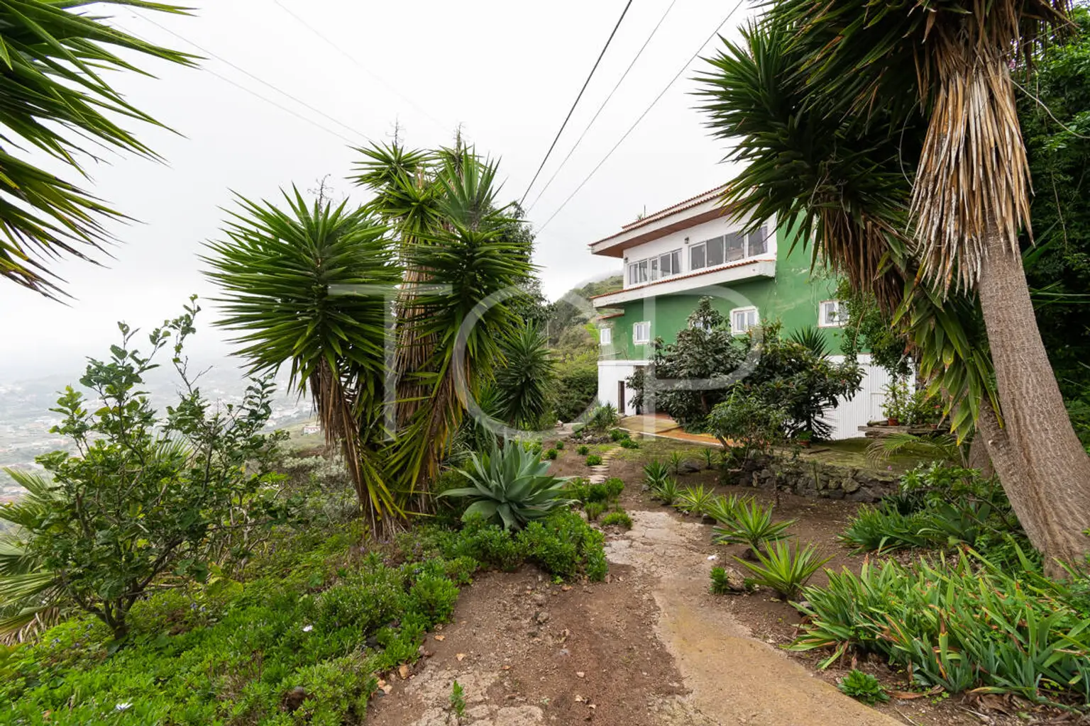 Haus-Icod-de-Los-Vinos-xxx-Teneriffa-26