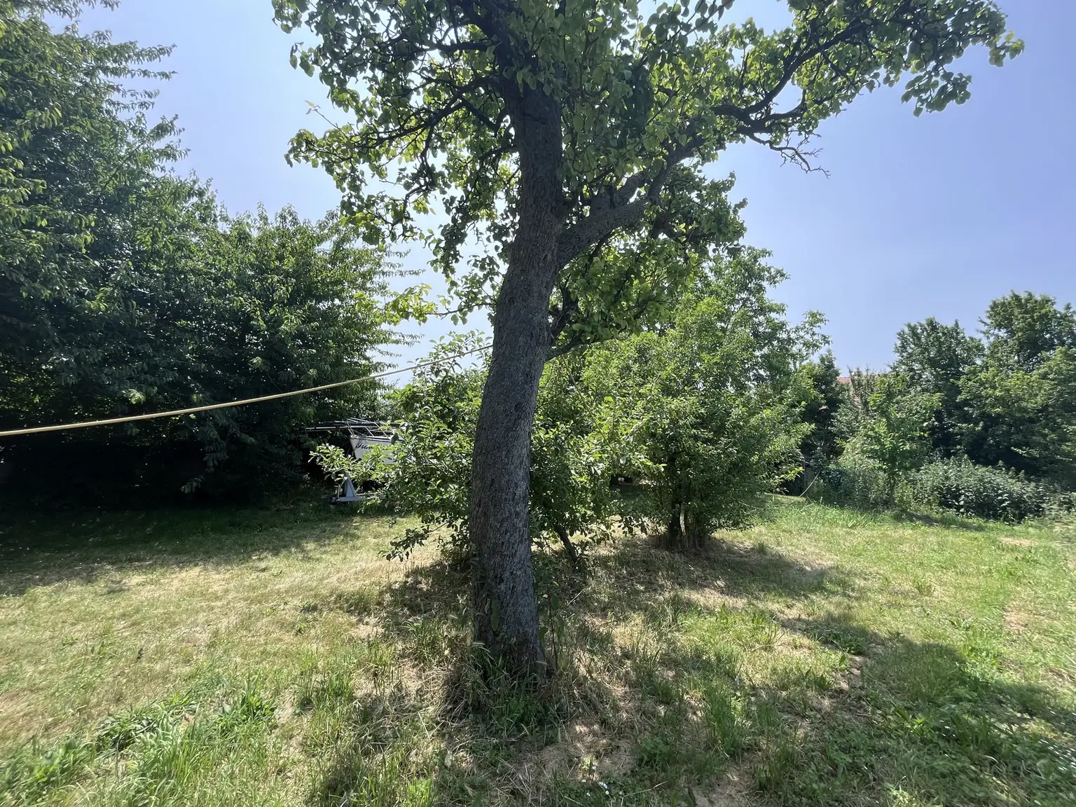 Grundstück mit Altbestand