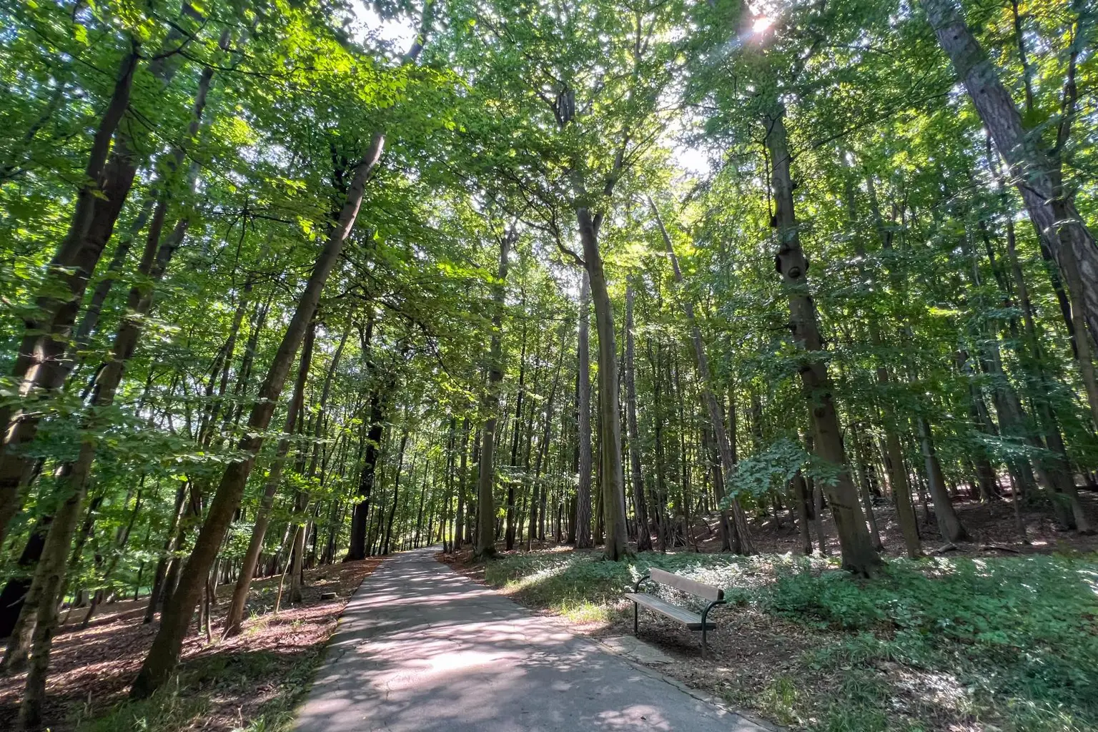 “Rare Parkside Living! Beside Vienna’s Romantic English Garden!“