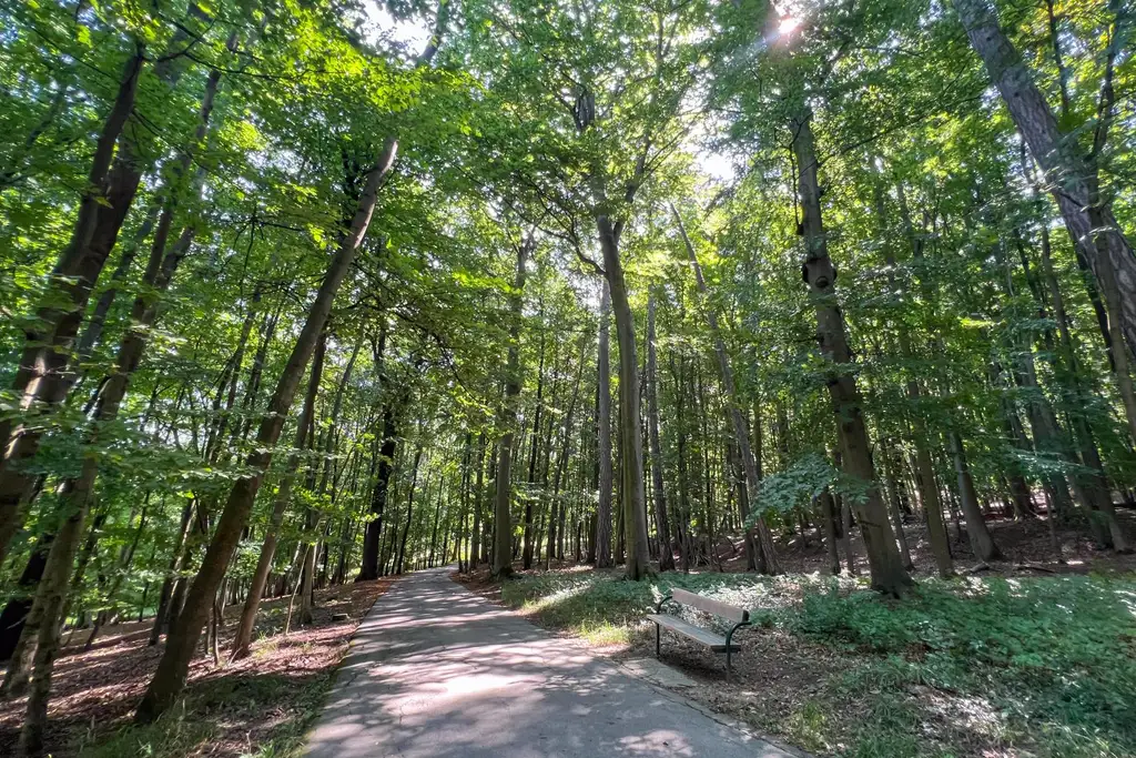 “Rare Parkside Living! Beside Vienna’s Romantic English Garden!“