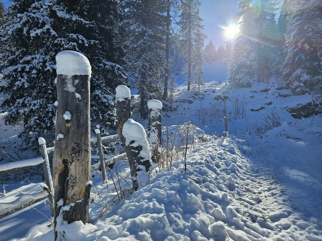 Natur, Abenteuer & Luxus vereint! – CHALET SLEEPY BEAR - Sofort Ski-In & Ski-Out