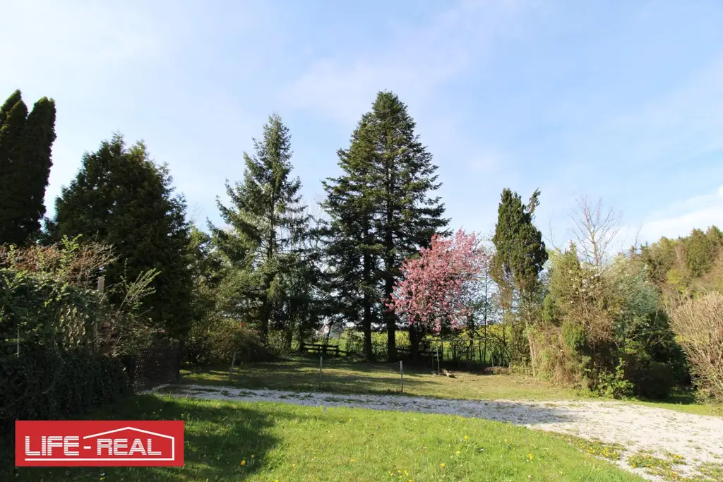 Grundstück mit Seltenheitswert am Mattsee, KEIN BAULAND