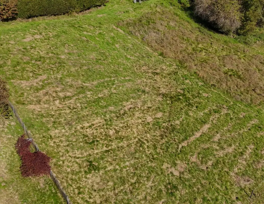 *** Sonniges Südhanggrundstück in Liebenfels ***
