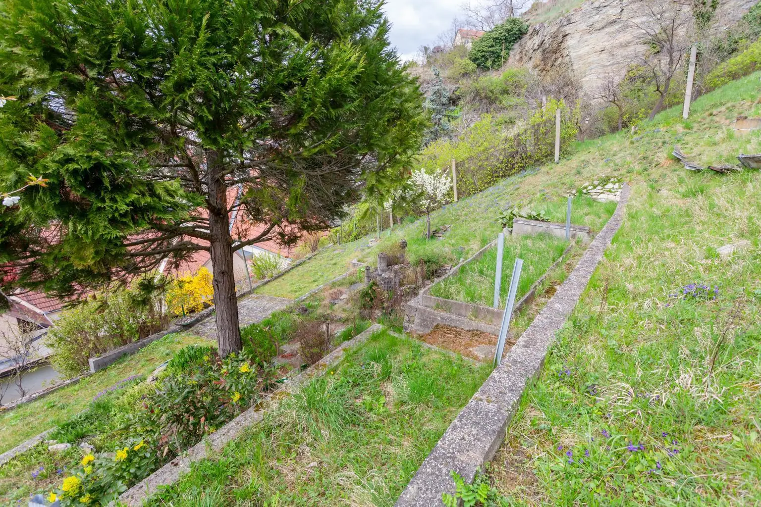 Garten IV