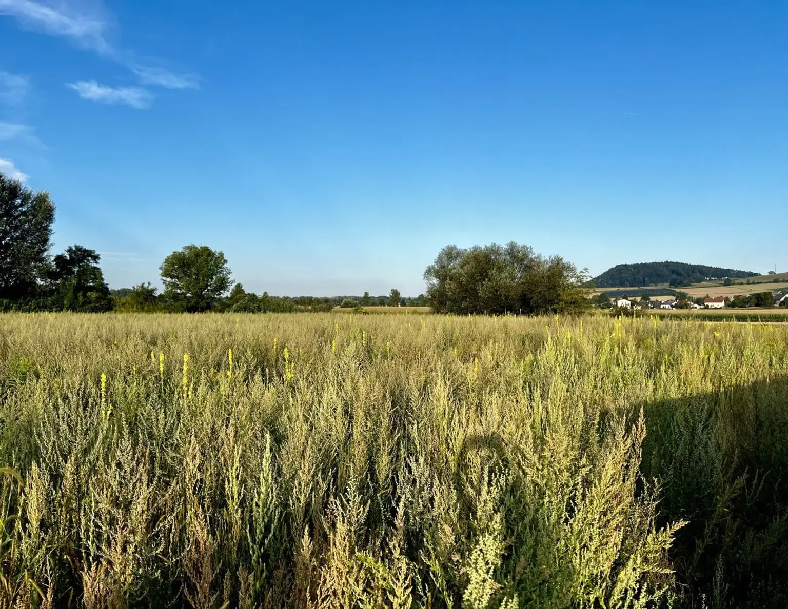Traumgrundstück für Ihr Eigenheim in idyllischer Lage - 4 Grundstücke (500-540m²) in Luftenberg an der Donau, Oberösterreich