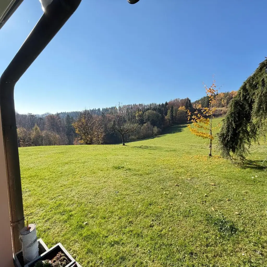 Wohnen in Aussichtslage mitten in der Natur auf  8 Ha. Grund, ehemalige Hofstelle!