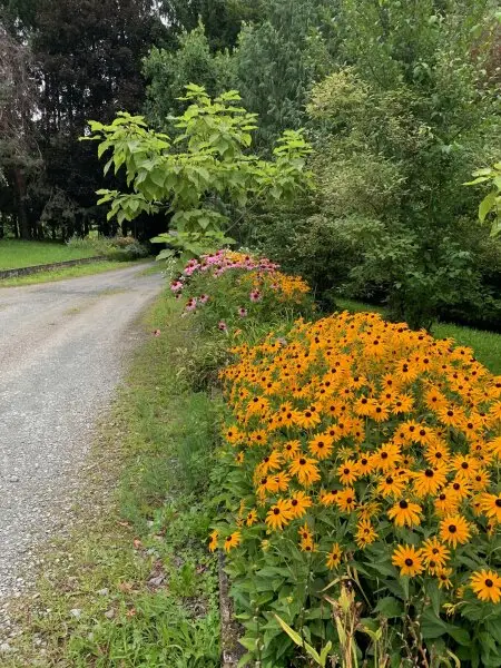 Landhaus in Alleinlage