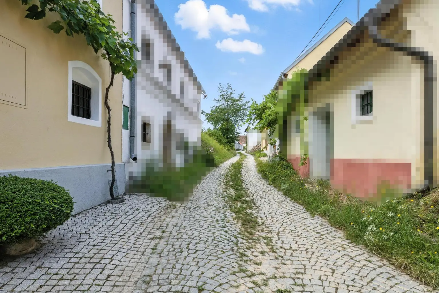 EXKLUSIVER WEINKELLER MIT WEINGARTEN - UNVERBAUBARER AUSBLICK!