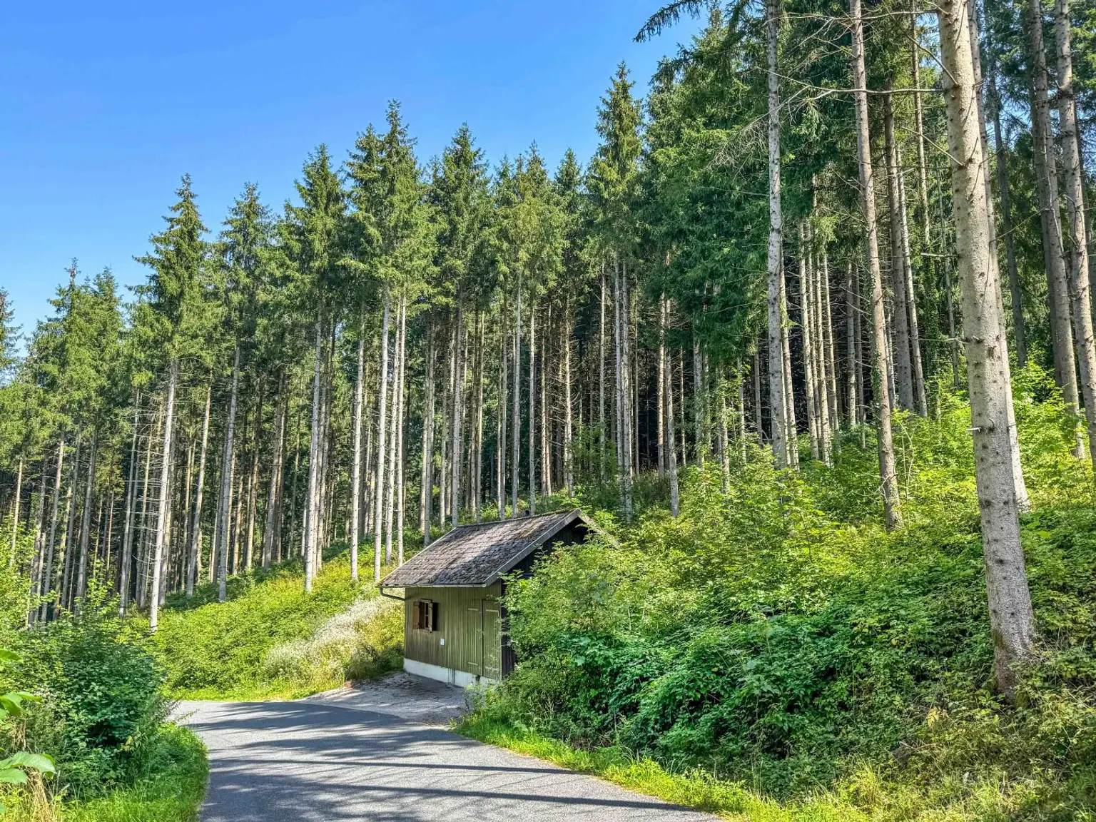PERFEKTER HOBBY-WALD mit Arbeitshütte !
