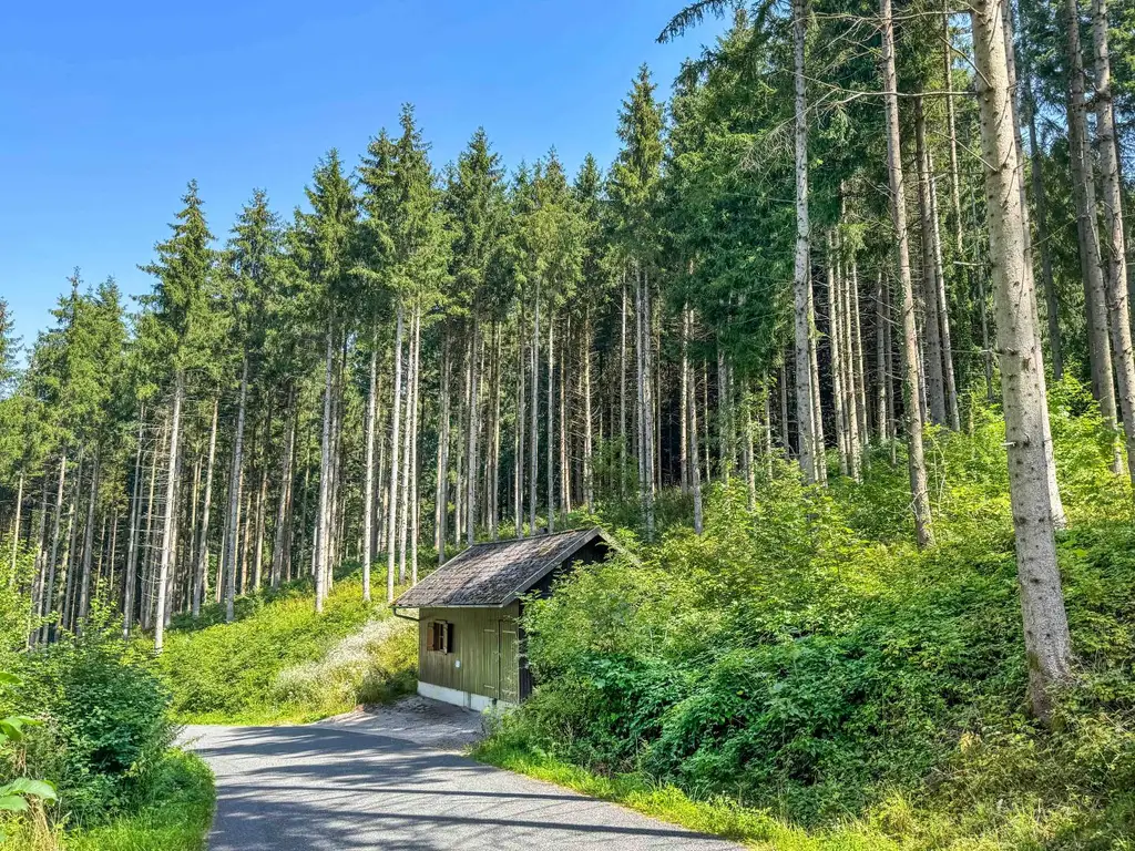 PERFEKTER HOBBY-WALD mit Arbeitshütte !