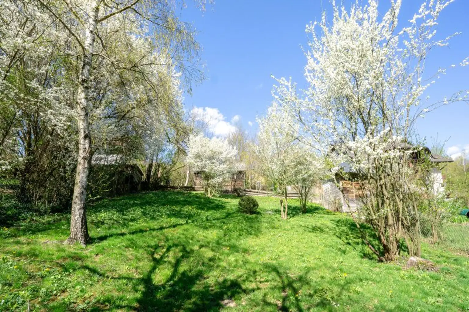 Blick vom Süden hinauf über das gesamte Grundstück