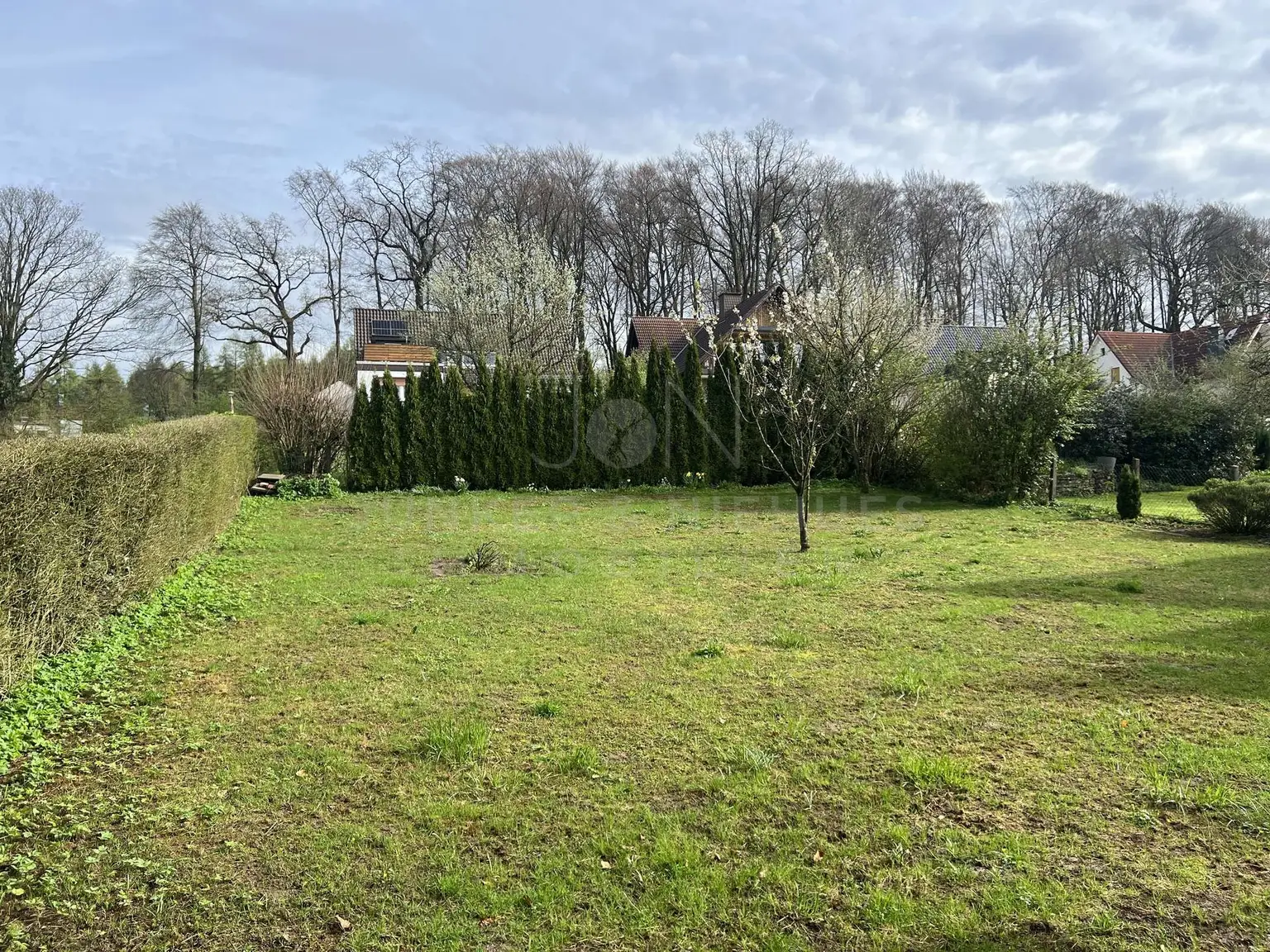 Großer, grüner Garten
