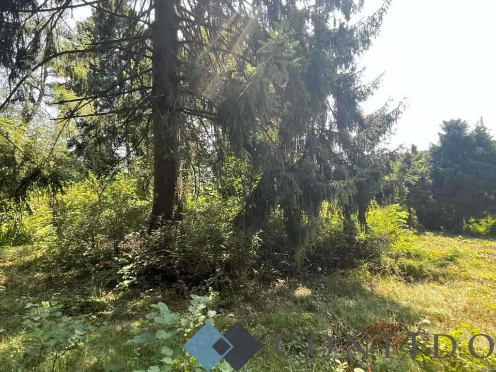 Rarität - Grundstücke in Ruhelage an der Grenze Wiens zu verkaufen!