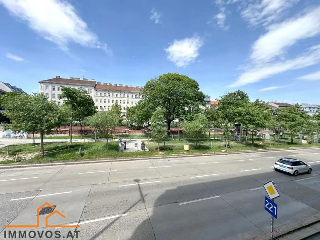 sanierungsbedürftige WOHNUNG - ALTBAU - schönes HAUS