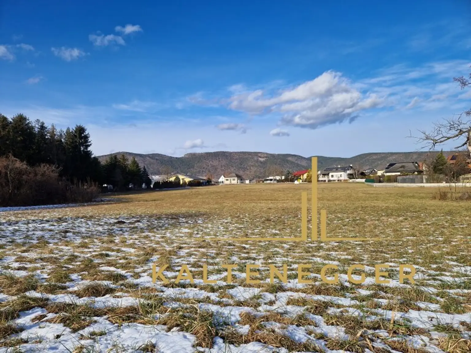 Sicht vom Grünland auf das Bauland