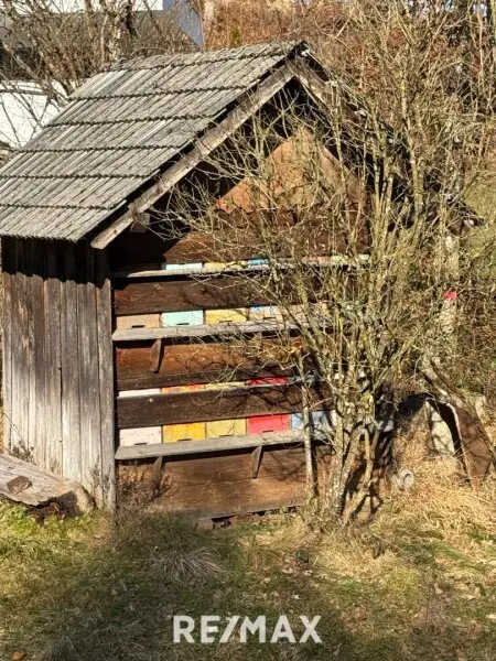 Bienenhütte