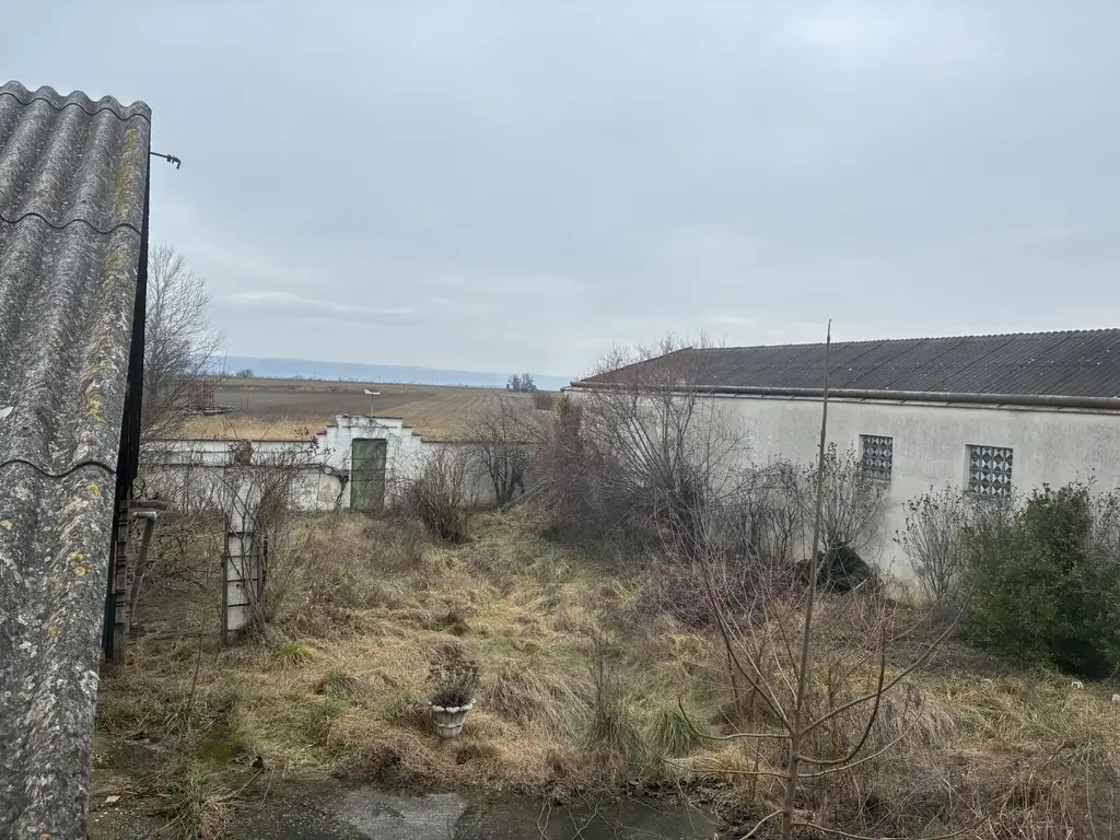 Hier lässt es sich leben...der See ruft! Solides Wohnhaus in Oggau -Bedarf Renovierung!