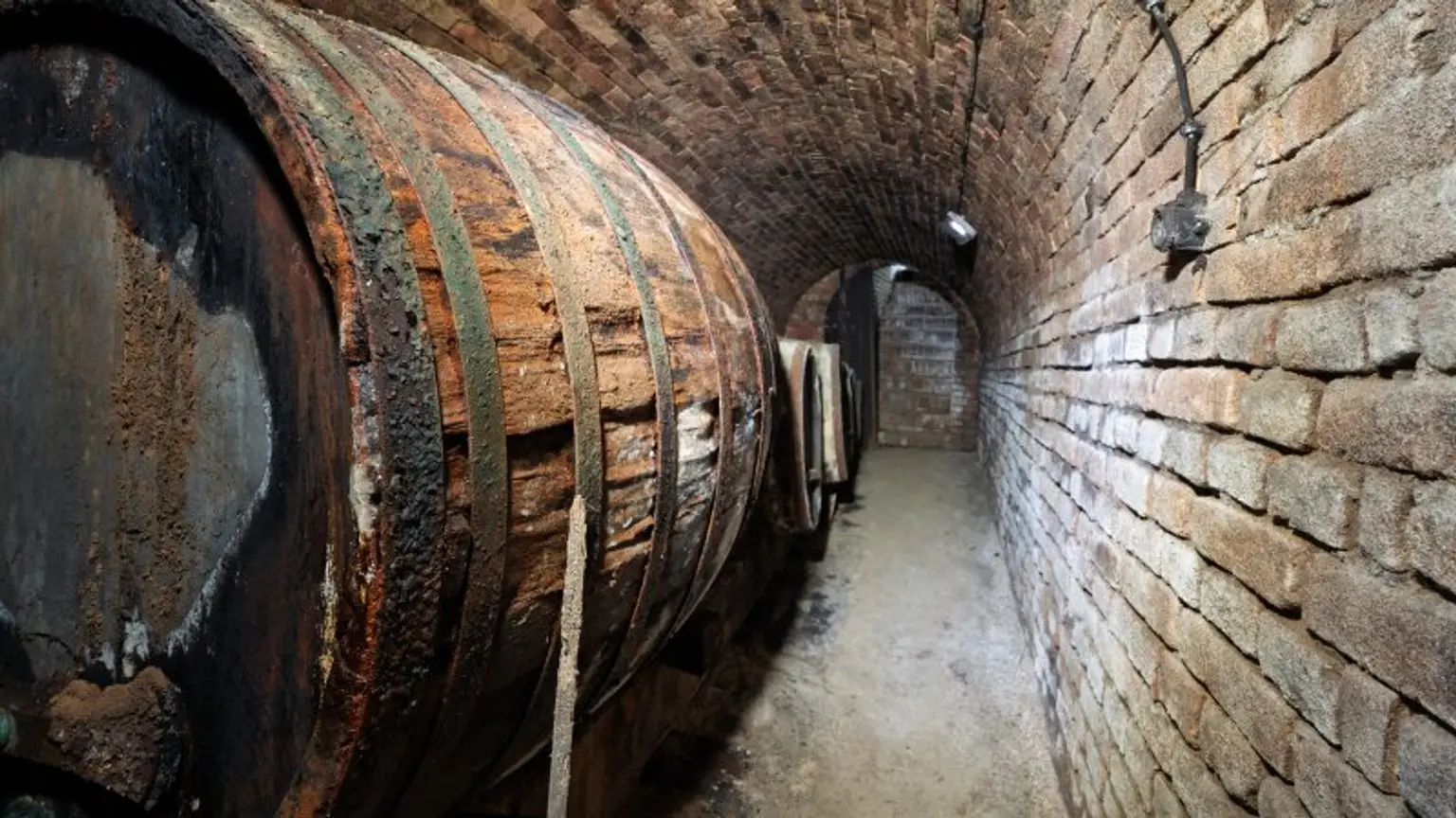 Potentialreiches Haus mit spitzen Weinkellerröhren in Groß-Schweinbarth