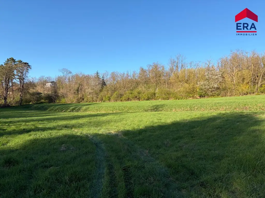 Exklusives Freizeitgrundstück in absoluter Grünruhelage – Natur, Weite & vielfältiges Potenzial in Gaweinstal