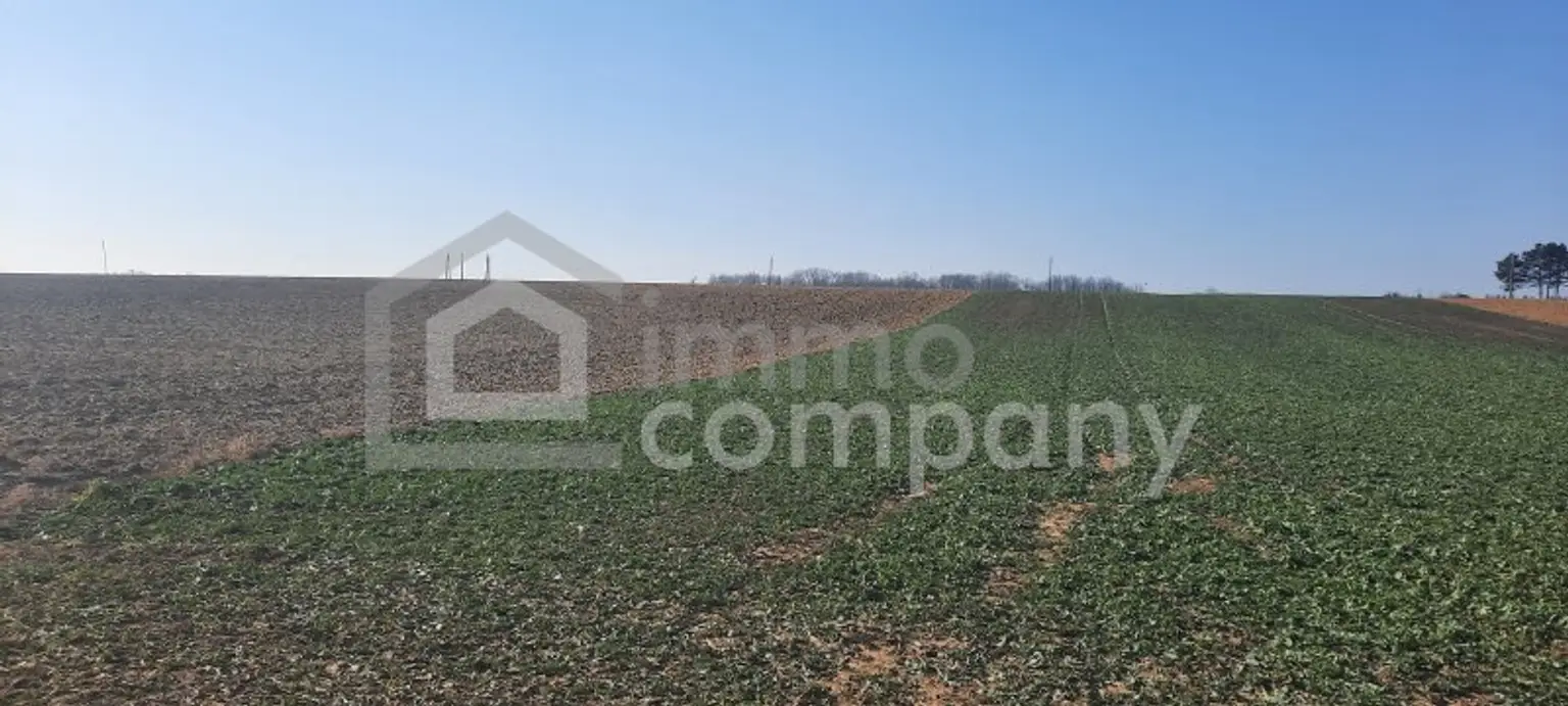 Einmalige Gelegenheit großer Grund mit Bohrrecht Thermalwasser - Unique opportunity to acquire large land near Heviz with drilling rights for thermal water.