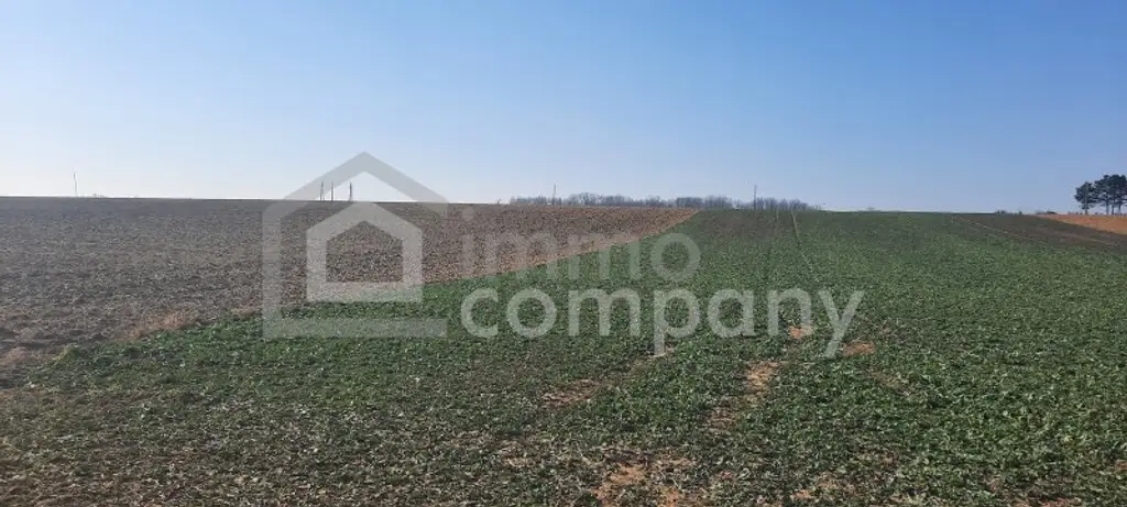 Einmalige Gelegenheit großer Grund mit Bohrrecht Thermalwasser - Unique opportunity to acquire large land near Heviz with drilling rights for thermal water.