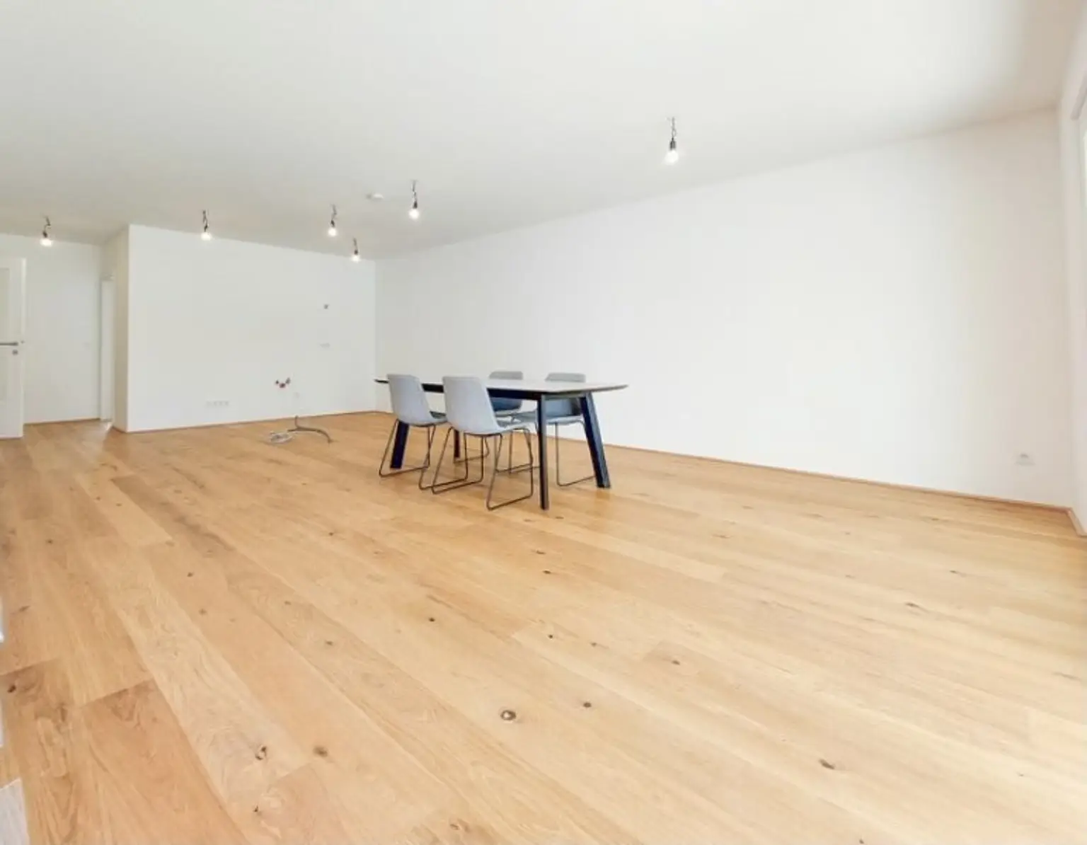 4 Zimmer Gartenwohnung zwischen Lobau und U2 Aspernstraße! Provisionsfrei für den Käufer
