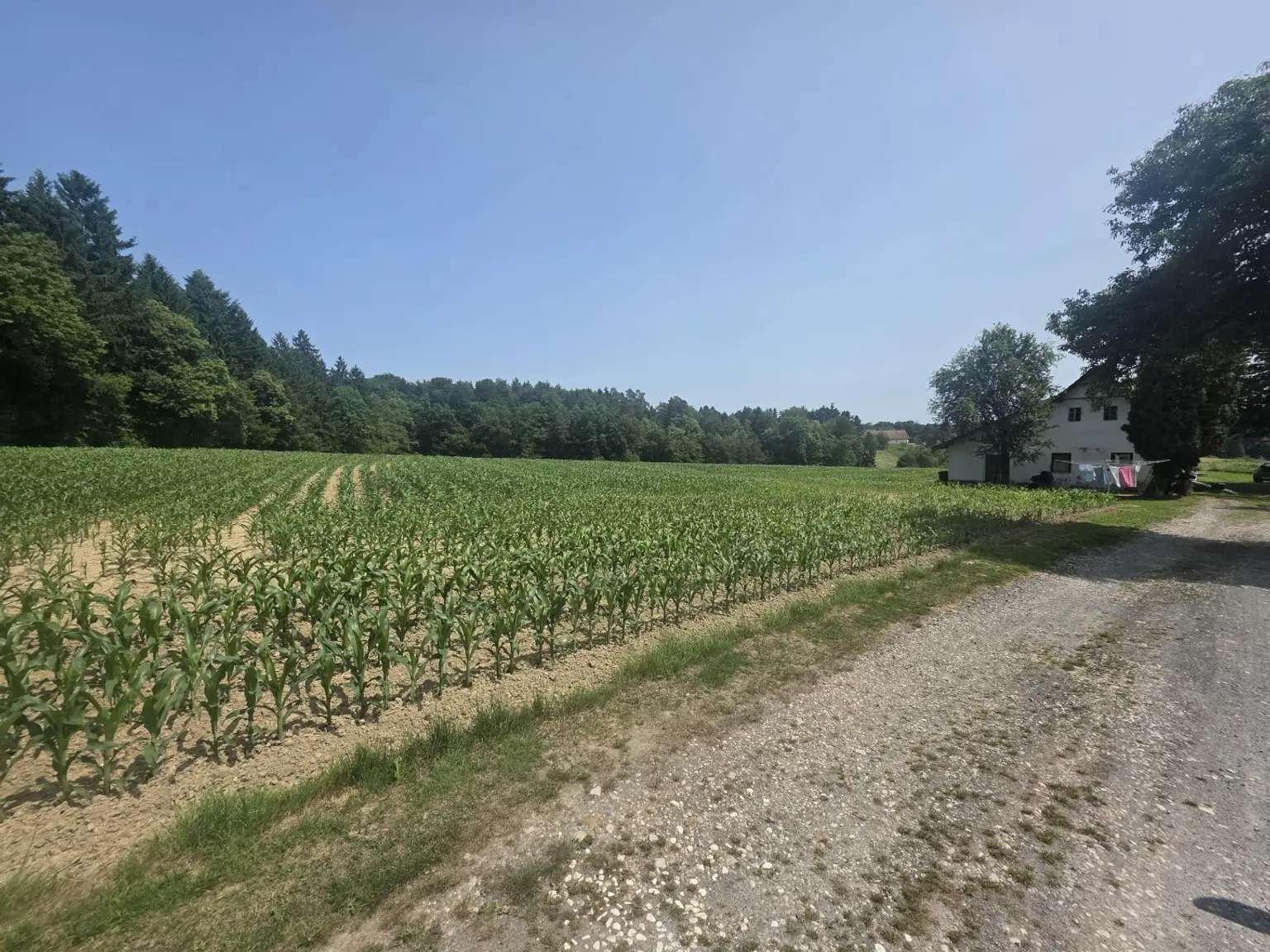 Bauernhaus (stark sanierungsbedürftig) mit viel Grund und kleinem Teich