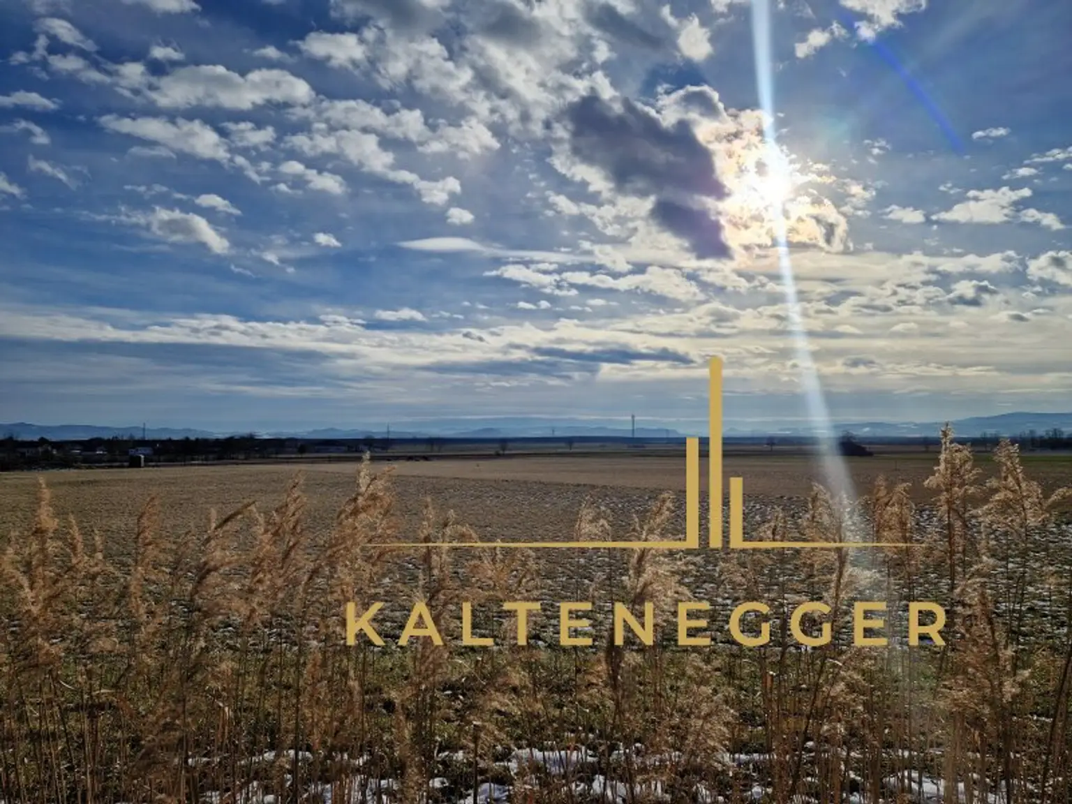 Aussicht vom Ende des Grundstücks auf die Felder