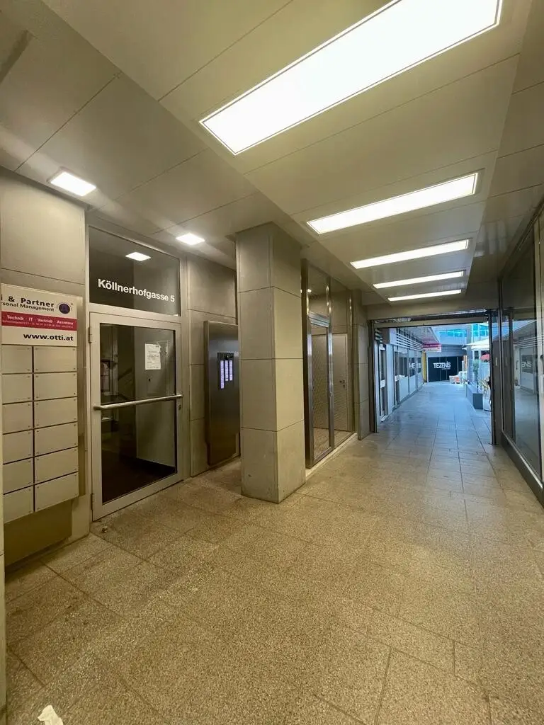 Charmante Wohnung in der Wiener Innenstadt