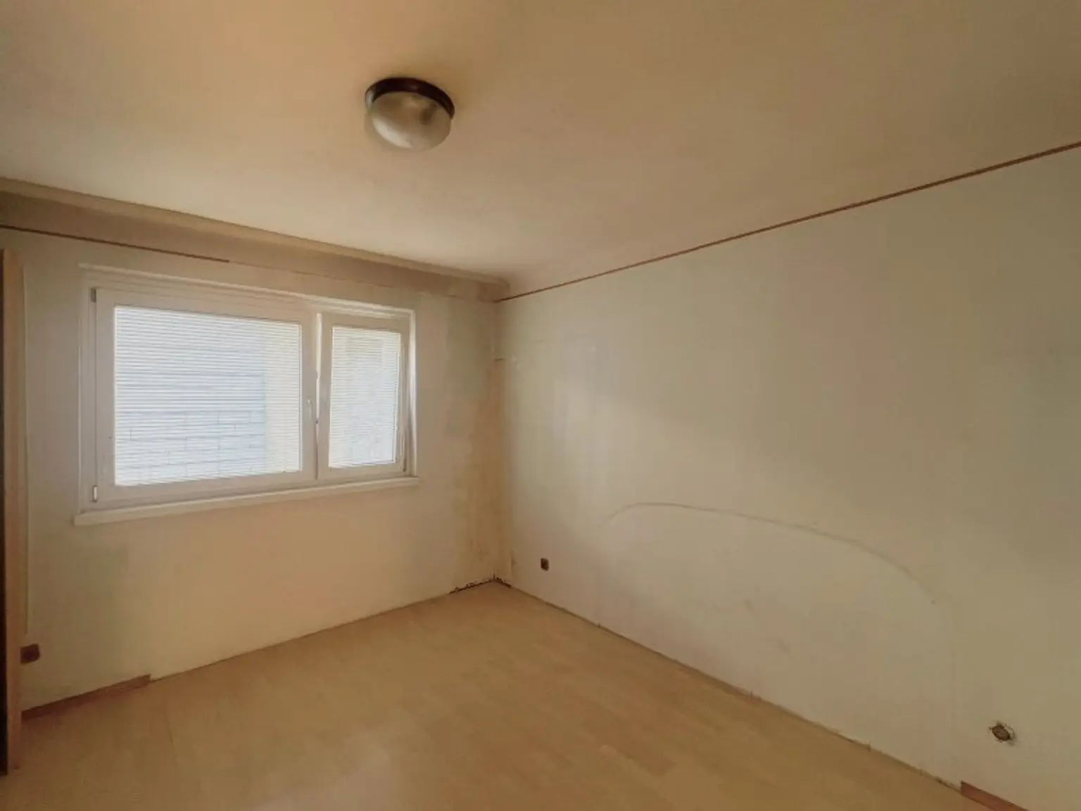 Lichtdurchflutete 2-Zimmer-Wohnung mit Charme & Potenzial in thermisch saniertem 1965-Neubau