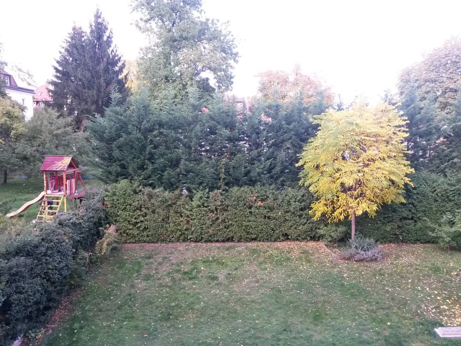 Ausblick