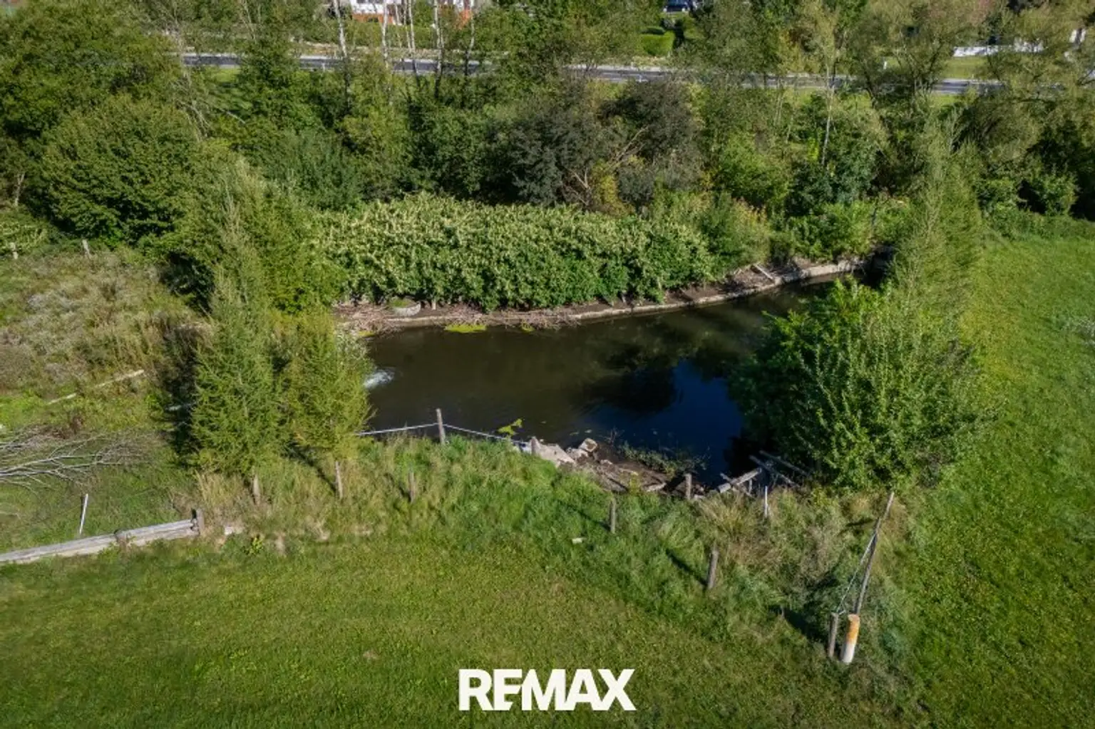 Naturschwimmteich
